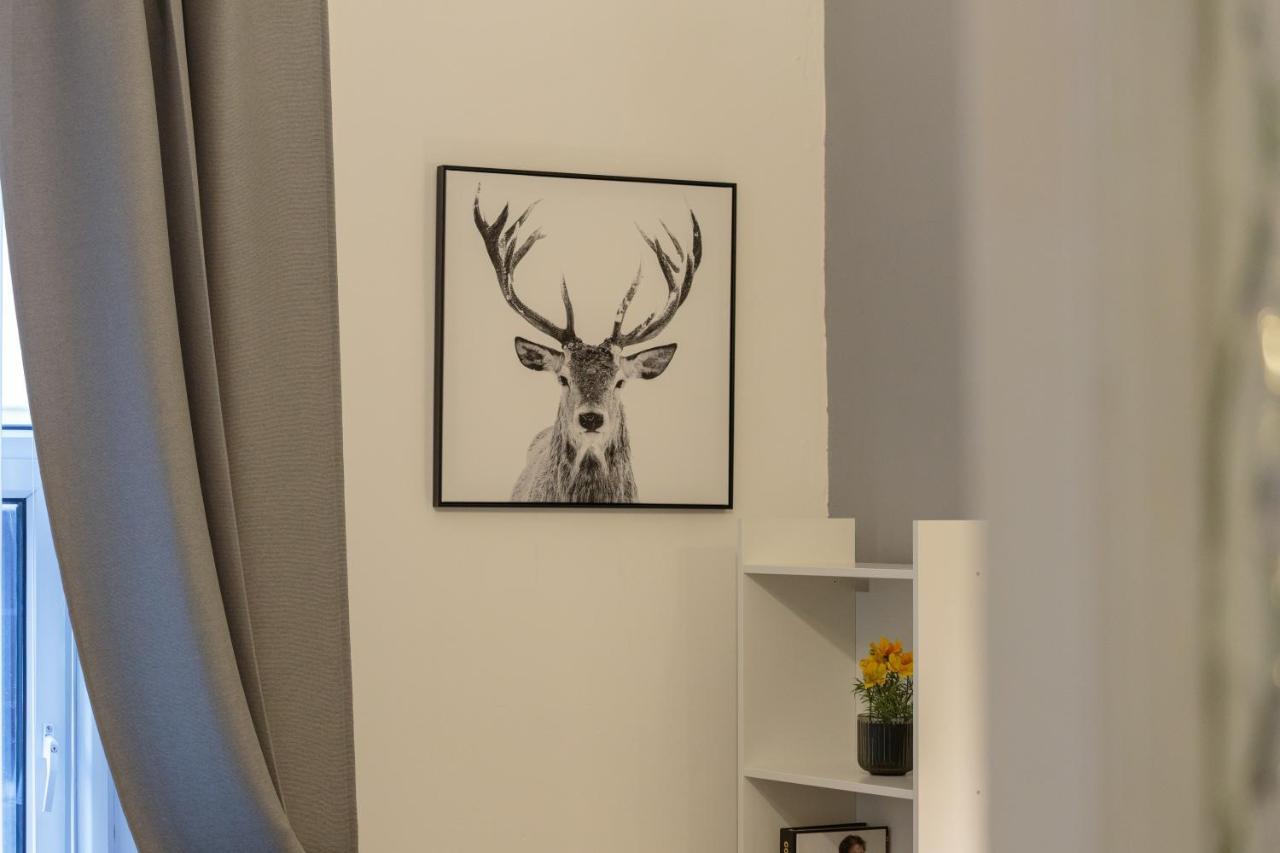 Stylish Apartment At The Edge Of Meadows Park 爱丁堡 外观 照片